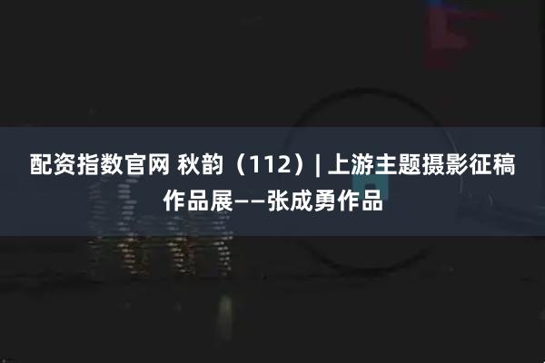 配资指数官网 秋韵（112）| 上游主题摄影征稿作品展——张成勇作品
