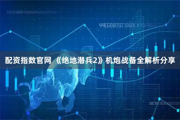 配资指数官网 《绝地潜兵2》机炮战备全解析分享