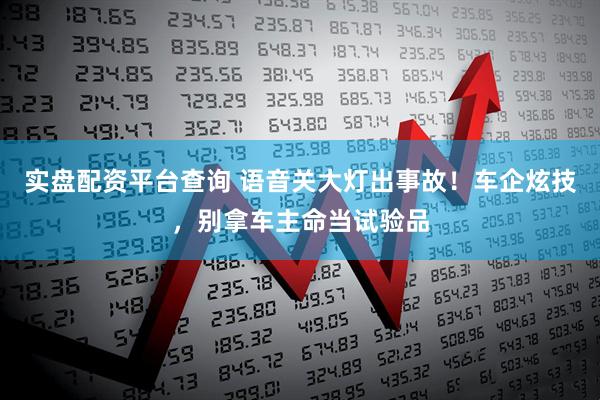 实盘配资平台查询 语音关大灯出事故！车企炫技，别拿车主命当试验品
