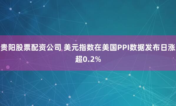 贵阳股票配资公司 美元指数在美国PPI数据发布日涨超0.2%